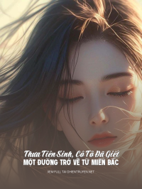 Thưa Tiên Sinh , Cô Tô Đã Giết Một Đường Trở Về Từ Miến Bắc