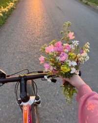 Khi Bố Mẹ Già Quyết Định Không Làm Ôsin Không Lương Nữa