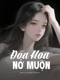 Đóa Hoa Nở Muộn