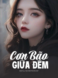 Cơn Bão Giữa Đêm