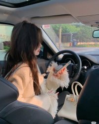 Thoát Án Chung Thân Nội Trợ