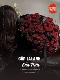 Gặp Lại Anh Lần Nữa