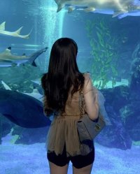 Sau Khi Bắt Gian Ở Sân Bay