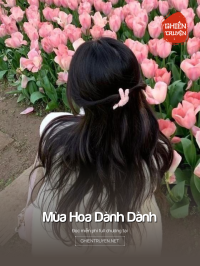Mùa Hoa Dành Dành