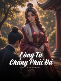 Lòng Ta Chẳng Phải Đá