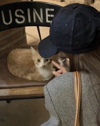 Trích Nguyệt Lượng