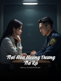 Nơi Hoa Hướng Dương Nở Rộ
