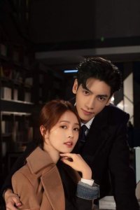 Bạn Trai Qua Mạng Là Tổng Tài Hoa Thịnh