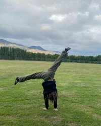 Sao Chổi Của Gia Đình