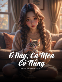 Ở Đây, Có Mèo, Có Nắng