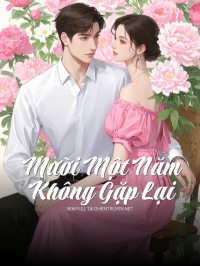Mười Một Năm, Không Gặp Lại