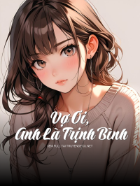 Vợ Ơi, Anh Là Trịnh Bình
