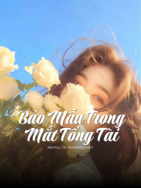 Bảo Mẫu Trong Mắt Tổng Tài