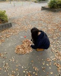 Để Nhi Tử Nghĩ Cách