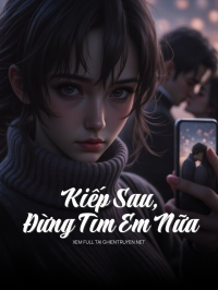Kiếp Sau , Đừng Tìm Em Nữa