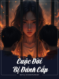 Cuộc Đời Bị Đánh Cắp