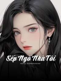 Sếp Ngố Nhà Tôi
