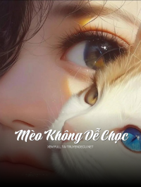 Mèo Không Dễ Chọc