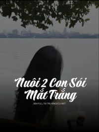 Sau Khi Nam Phụ Thượng Vị Trong Truyện Ngược Nữ Truy Thê