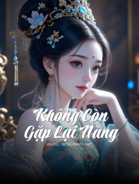 Không Còn Gặp Lại Nàng