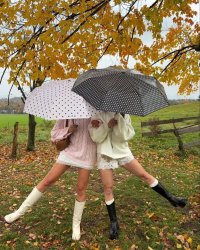 Chuyện Của Gà Và Vịt