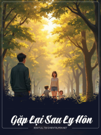 Gặp Lại Sau Ly Hôn