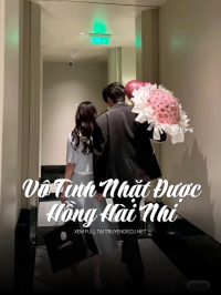 Vô Tình Nhặt Được Hồng Hài Nhi