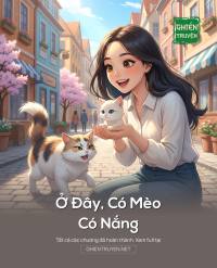 Ở Đây, Có Mèo, Có Nắng