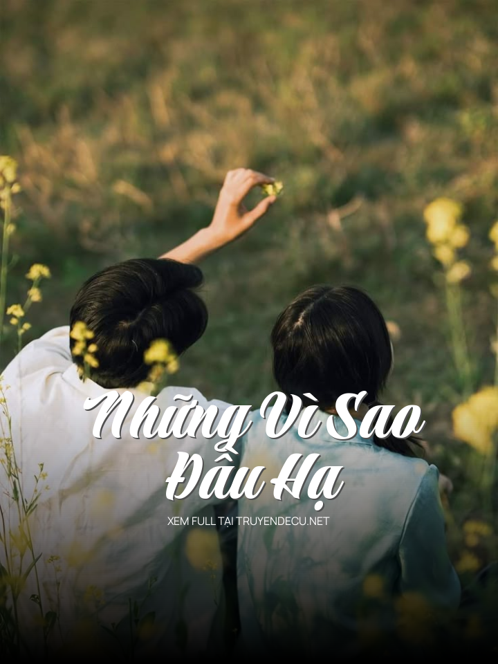 Những Vì Sao Đầu Hạ