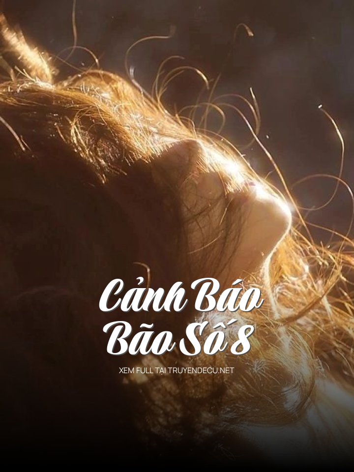 Cảnh Báo Bão Số 8