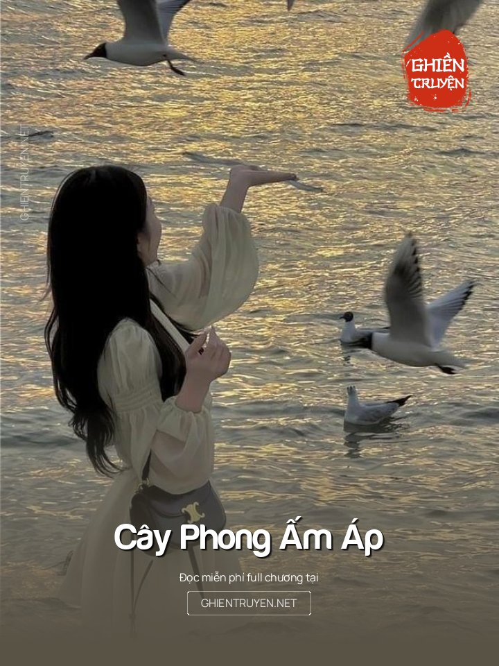 Cây Phong Ấm Áp