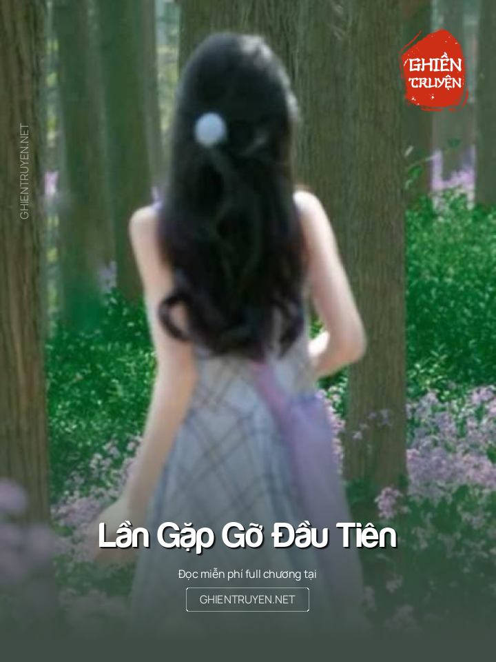 Lần Gặp Gỡ Đầu Tiên