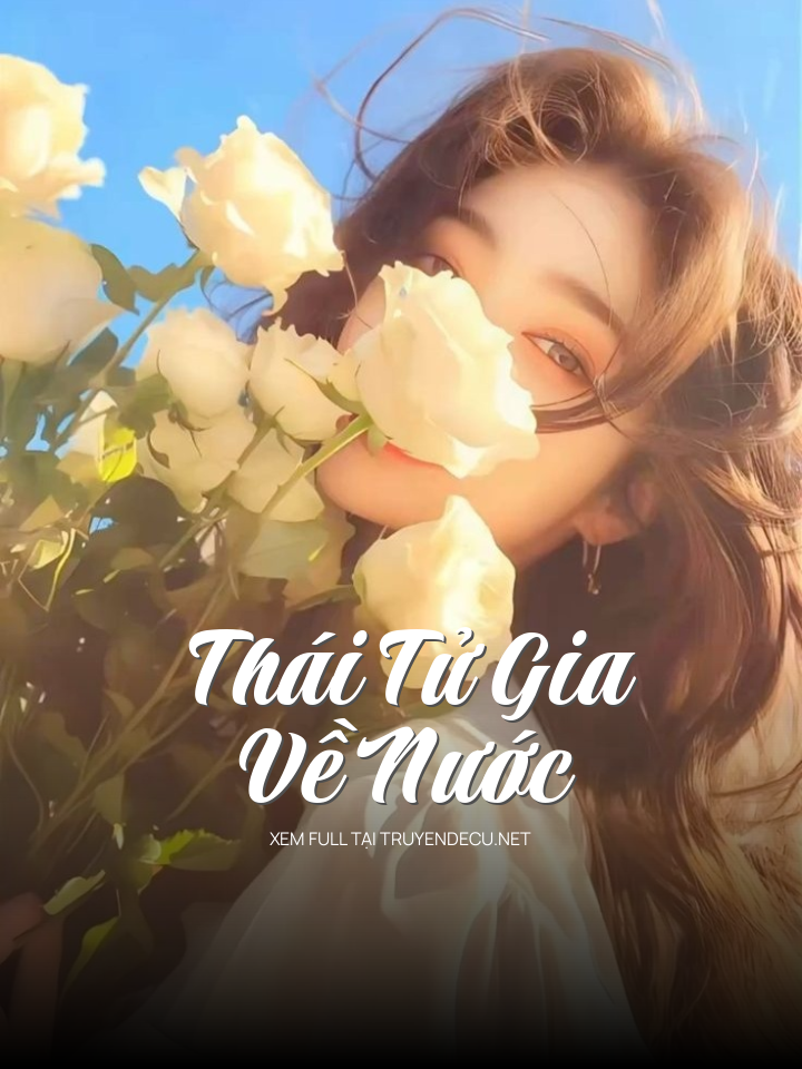Thái Tử Gia Về Nước