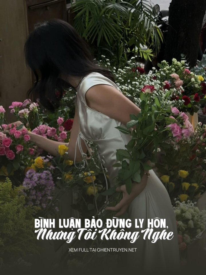 Bình Luận Bảo Đừng Ly Hôn, Nhưng Tôi Không Nghe