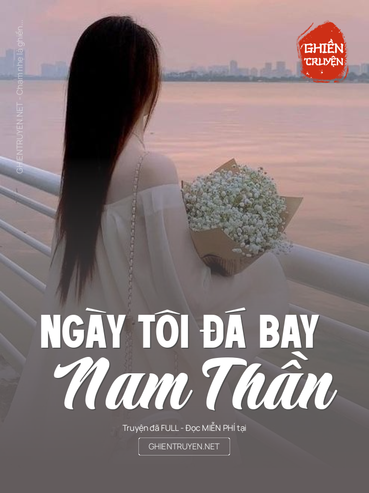 Ngày Tôi Đá Bay Nam Thần