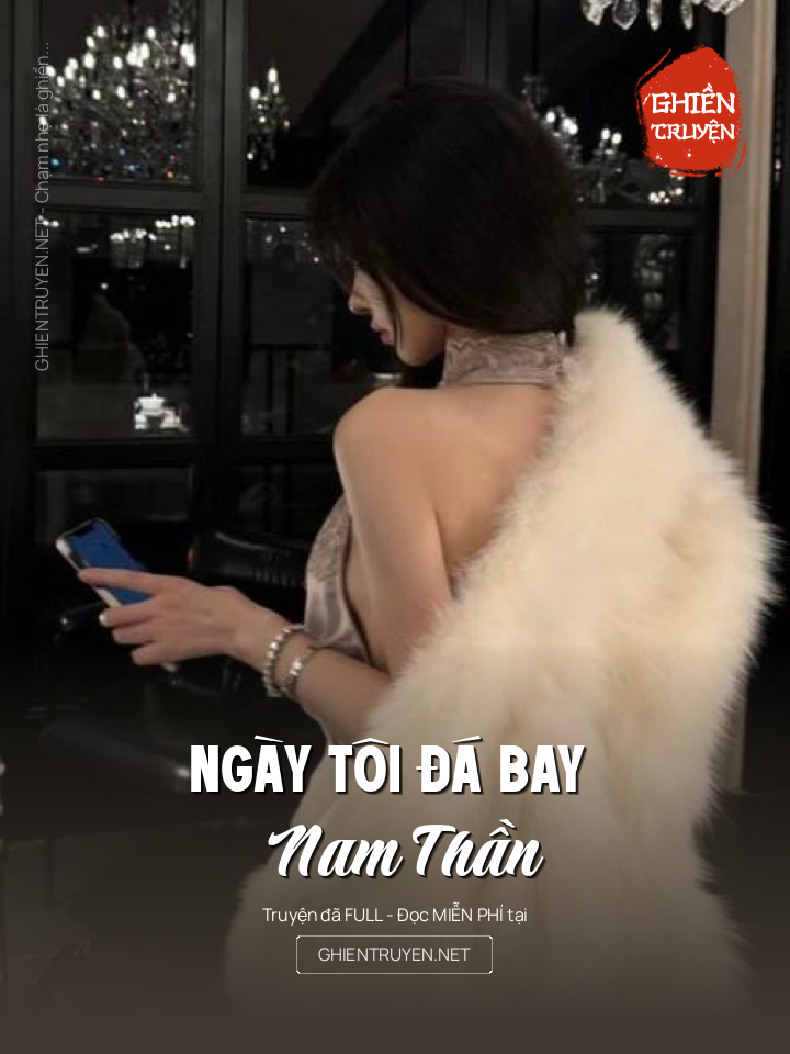 Ngày Tôi Đá Bay Nam Thần