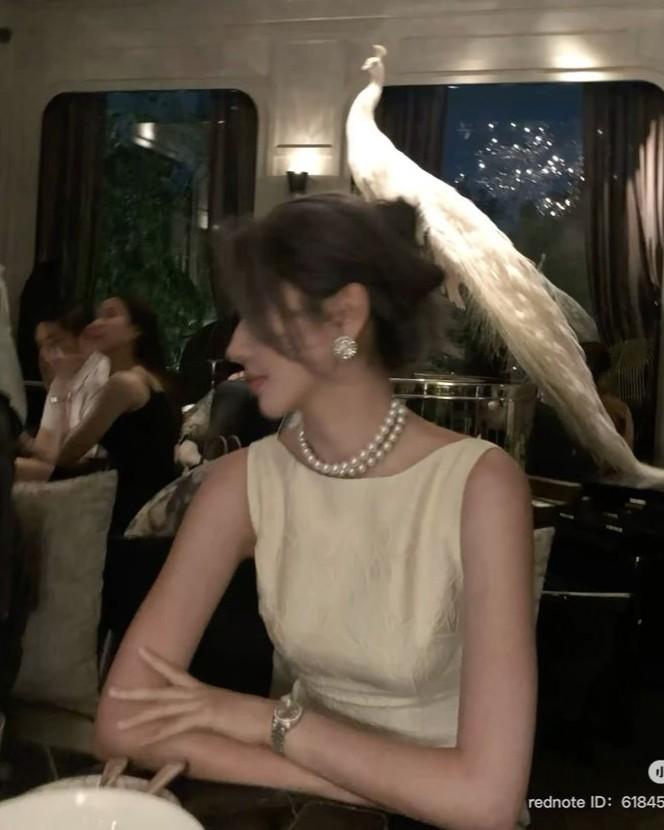 Tôi Tham Gia Chương Trình Của Âm Giới, Đổi Ký Ức Lấy Cơ Hội Tái Sinh