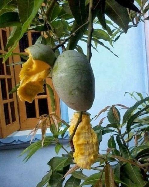 Mười Năm Sau Khi Chết, Ta Quay Trở Về Báo Thù