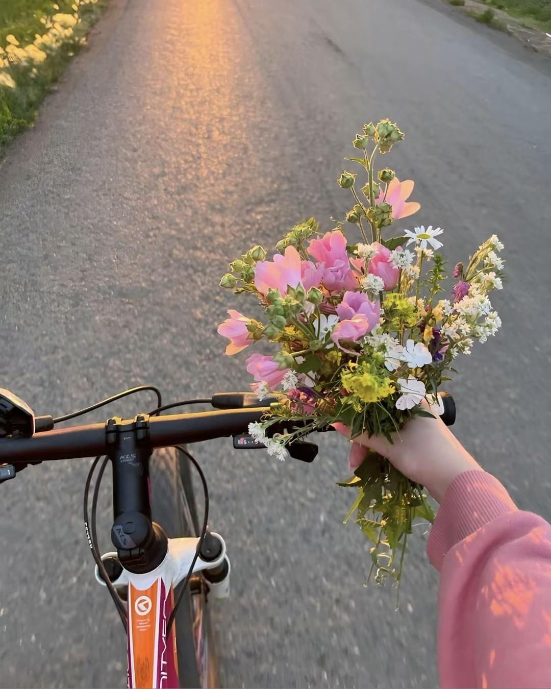 Trọng Sinh Thành Bà Cố Trăm Tuổi: Ta Đến Để Bảo Vệ Cháu Dâu