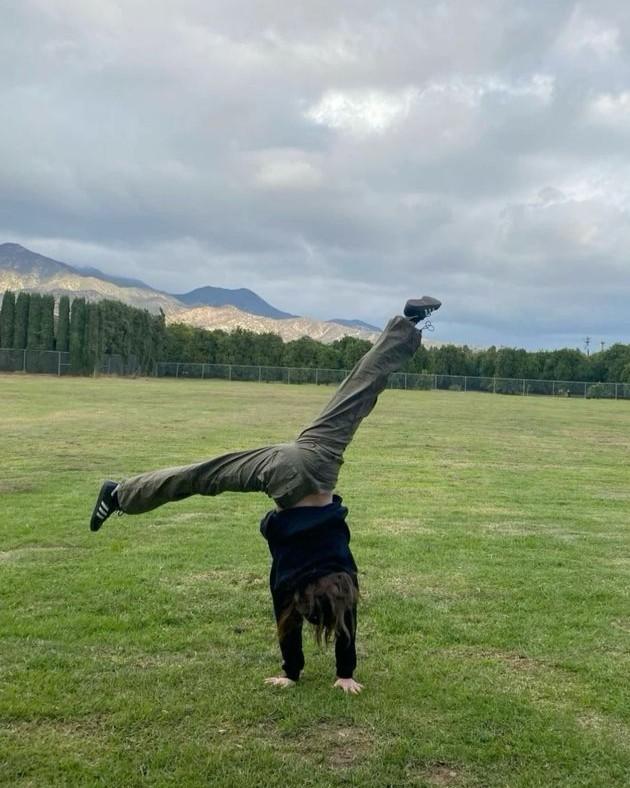 Sao Chổi Của Gia Đình