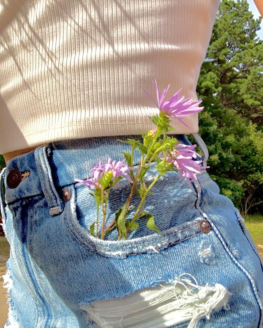 Mệnh Định Trêu Chọc Nàng