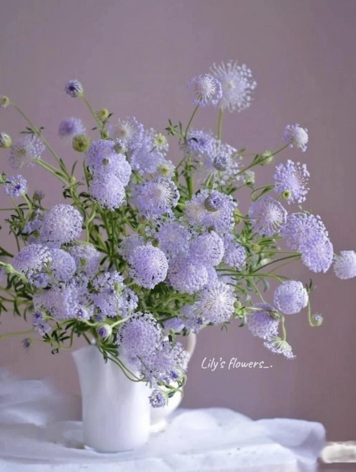 Trọng Sinh Trở Lại Tôi Tránh Xa Đàn Ông