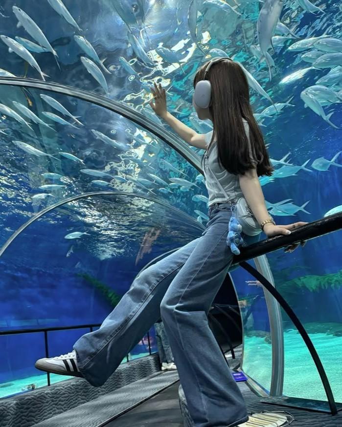 Cuộc Đời Gà Mái Của Phượng Hoàng