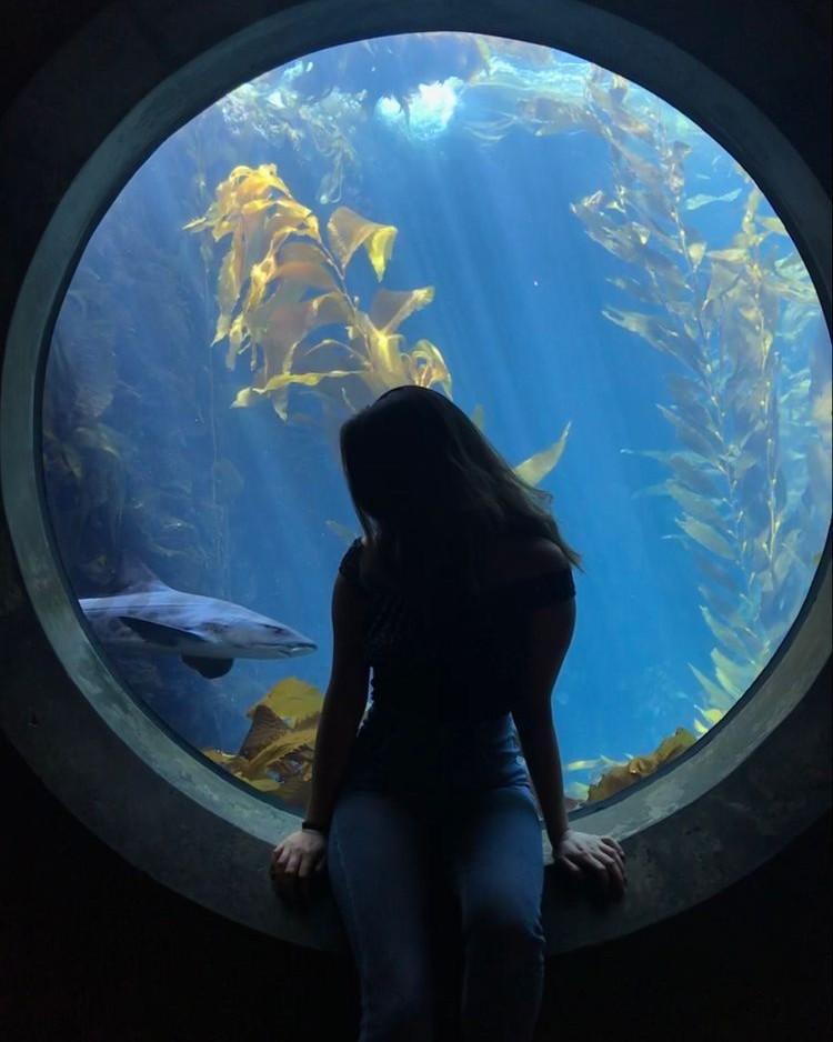 Khoảnh Khắc Sụp Đổ