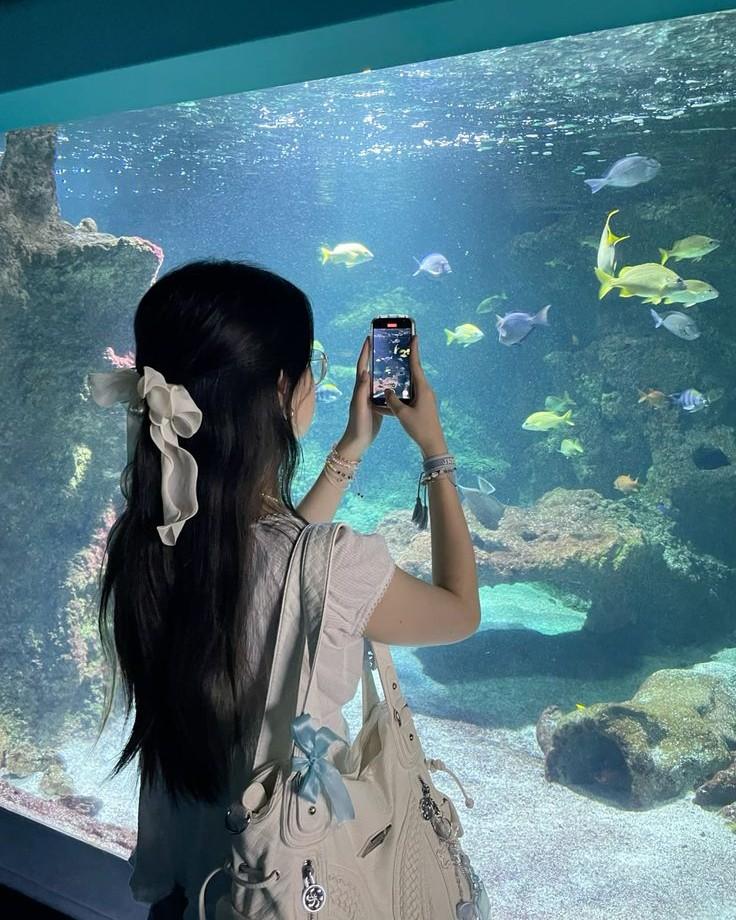 Vị Hôn Phu Chê Tôi Già