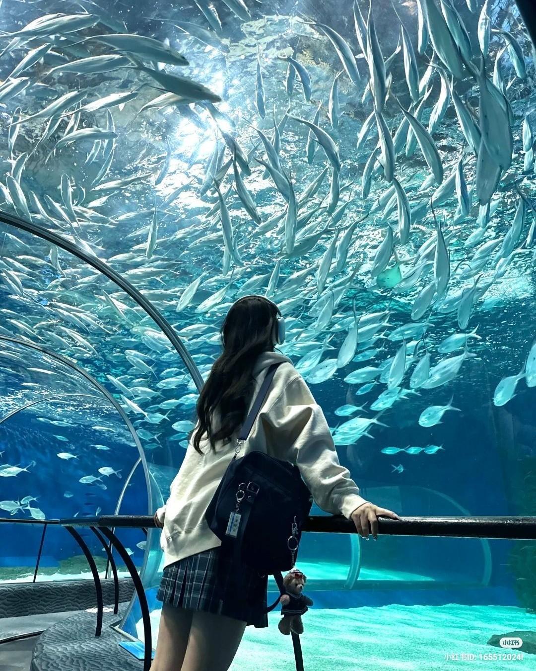 Người Hàng Xóm Thứ Mười Ba