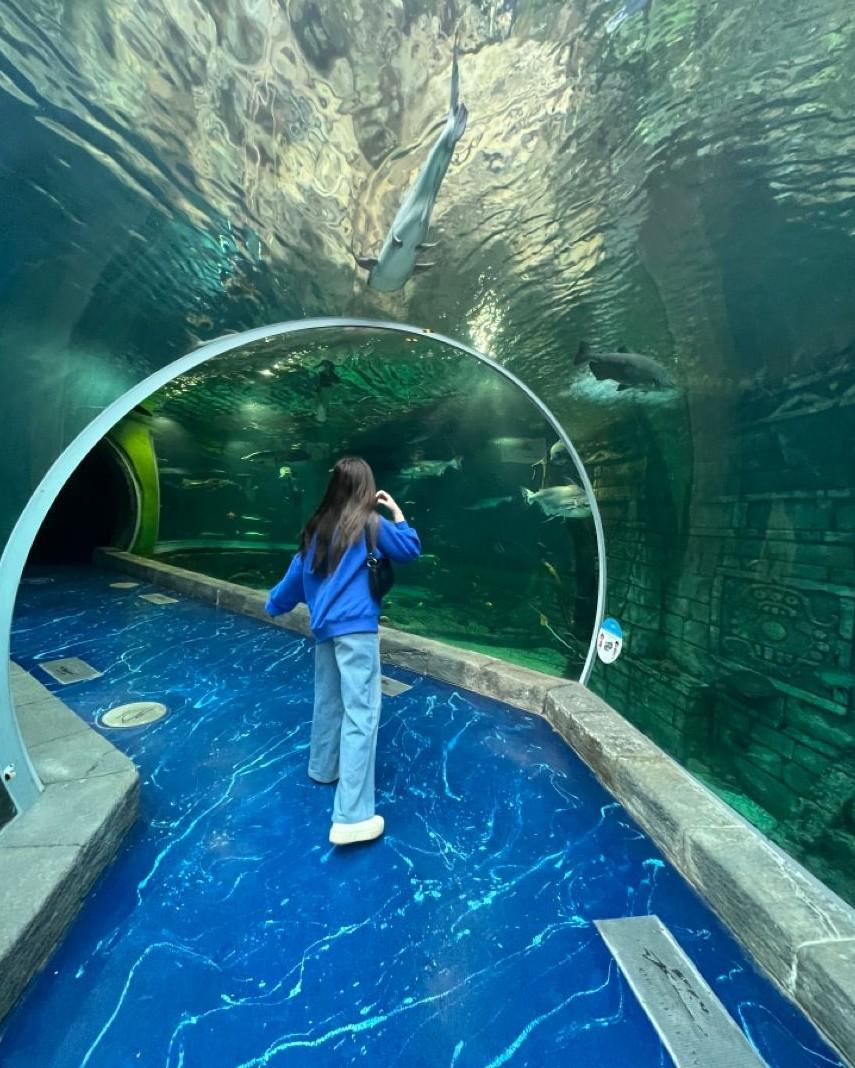 Khi Chính Thê Thành Thiếp