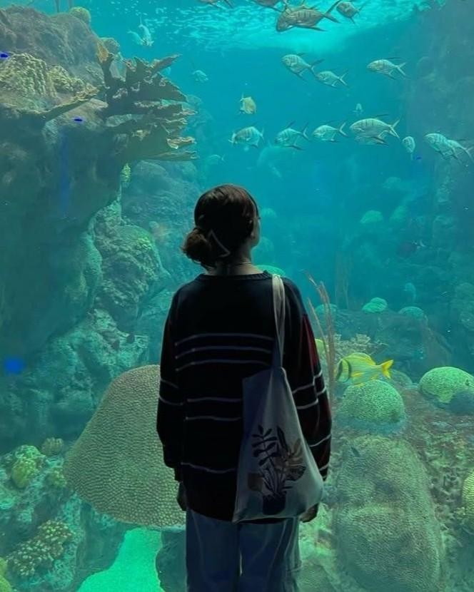 Cuộc Chiến Cuối Cùng Của Một Người Phụ Nữ