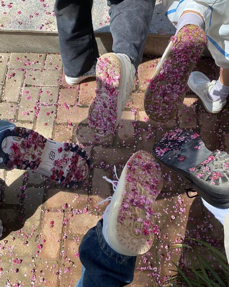 Tuyết Trắng Giữa Hồng Trần