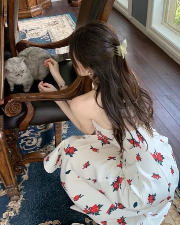 Phong Bao Của Chị Dâu